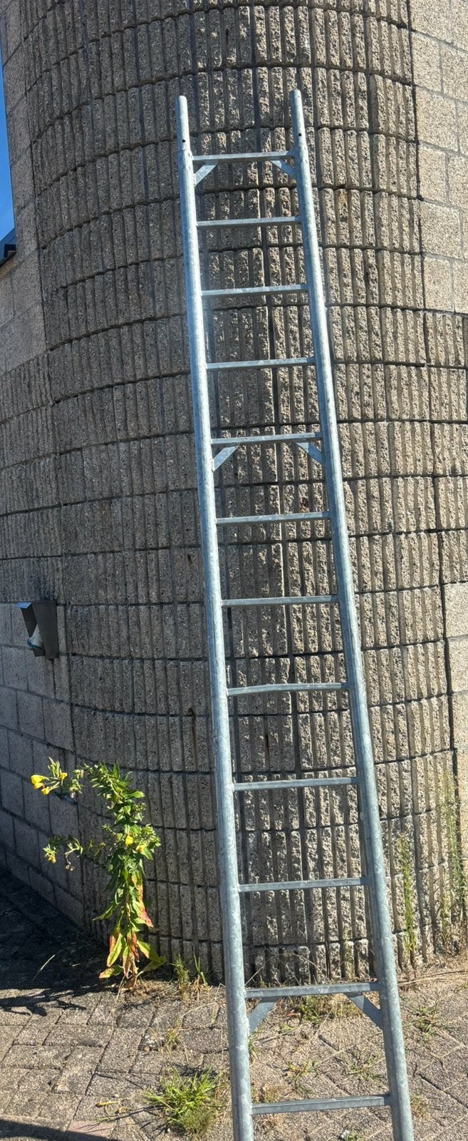 54x Steigerladder 300 cm / 3 meter - Layher - ZGAN!, Ophalen, Zo goed als nieuw, Gevelsteiger, 2 tot 5 meter