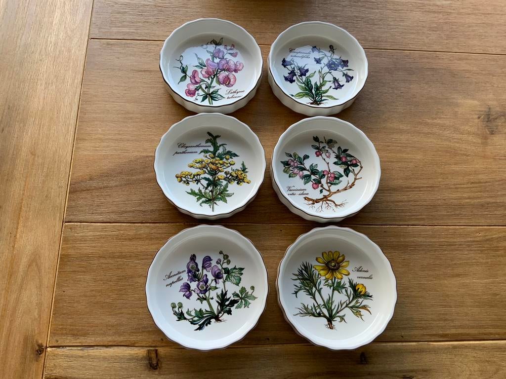 Villeroy & Boch Crème brûlée/soufflé ovenschaaltjes, Ophalen of Verzenden, Nieuw