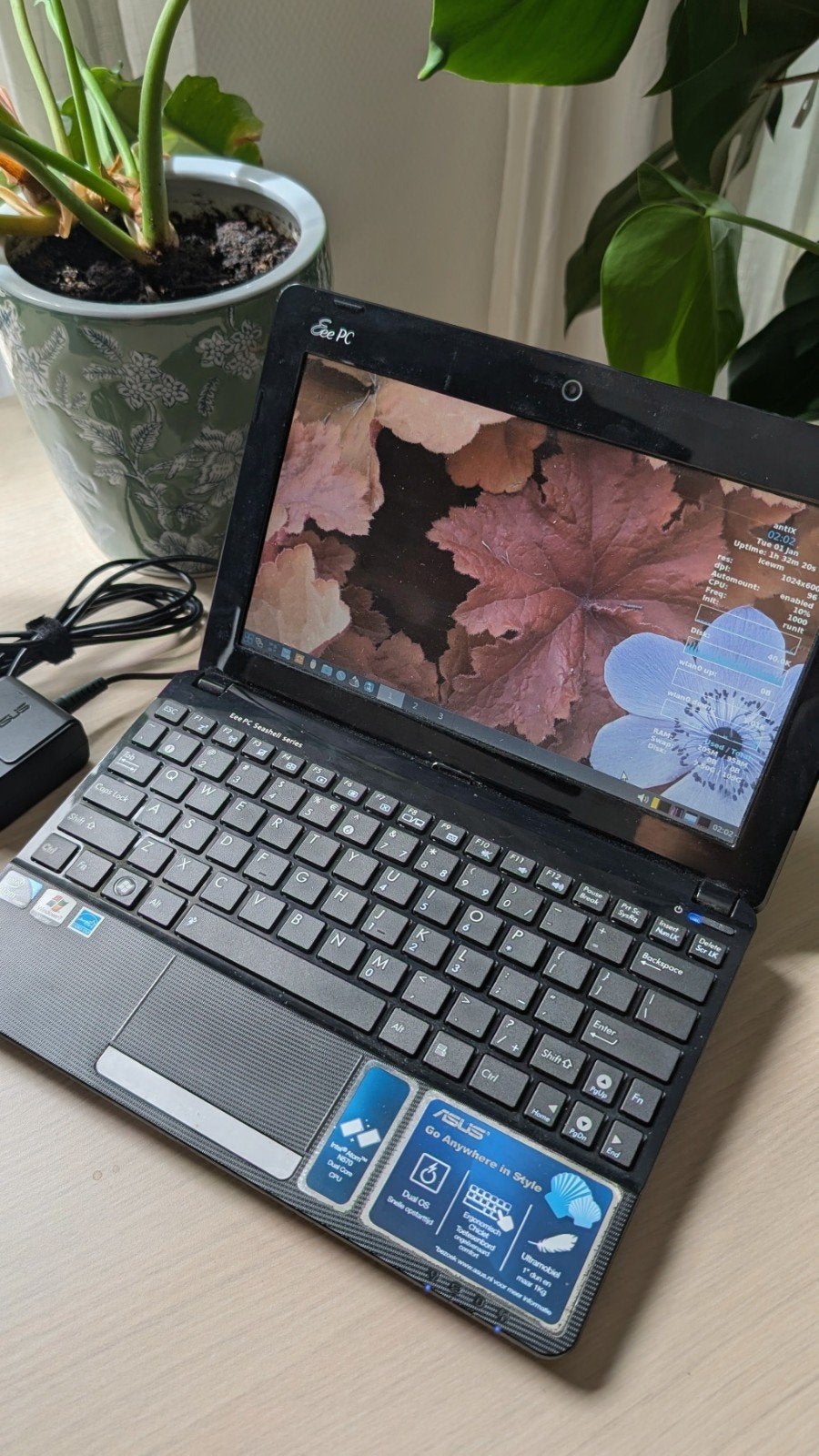 Asus Eee PC 1011PX, Computers en Software, Windows Laptops, Gebruikt, 10 inch of minder, SSD, Minder dan 2 Ghz, Minder dan 4 GB