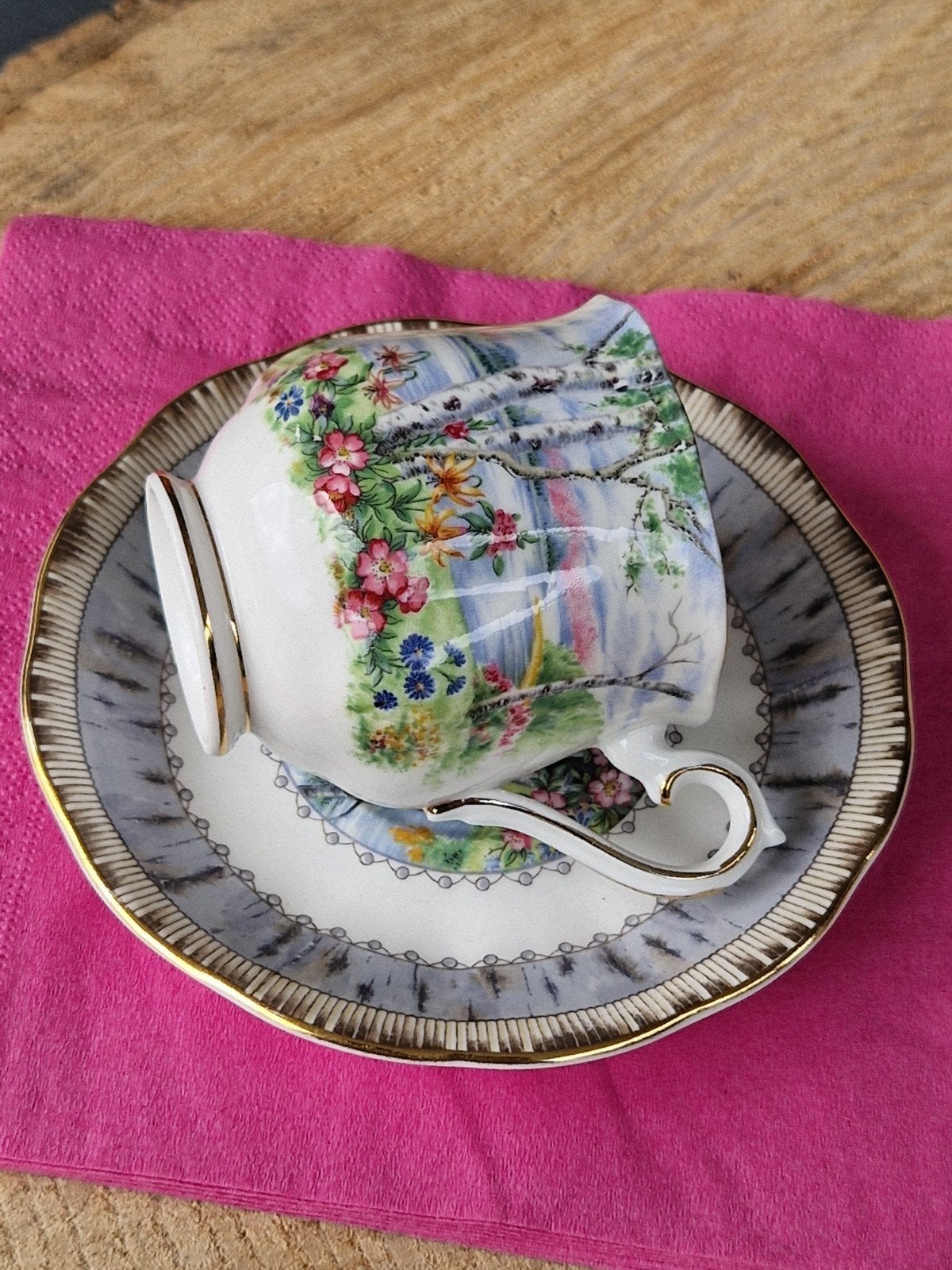 ROYAL ALBERT kop en schotel "Silver Birch" in perfekte staat, Ophalen