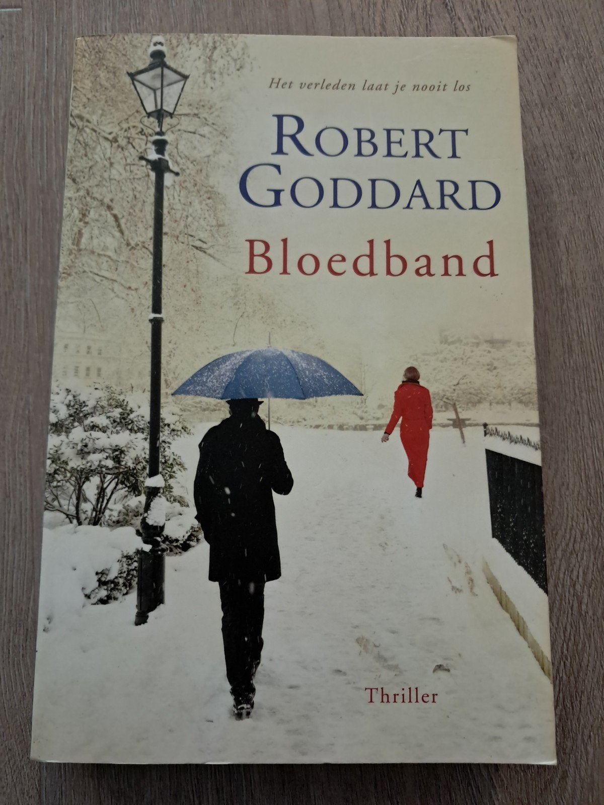 S: Robert Goddard - Bloedband, Europa overig, Ophalen of Verzenden, Zo goed als nieuw, Robert Goddard