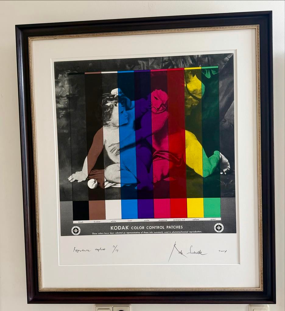 Rob Scholte Zeefdruk - Professioneel Ingelijst met Museumgla, Antiek en Kunst, Kunst | Litho's en Zeefdrukken, Ophalen