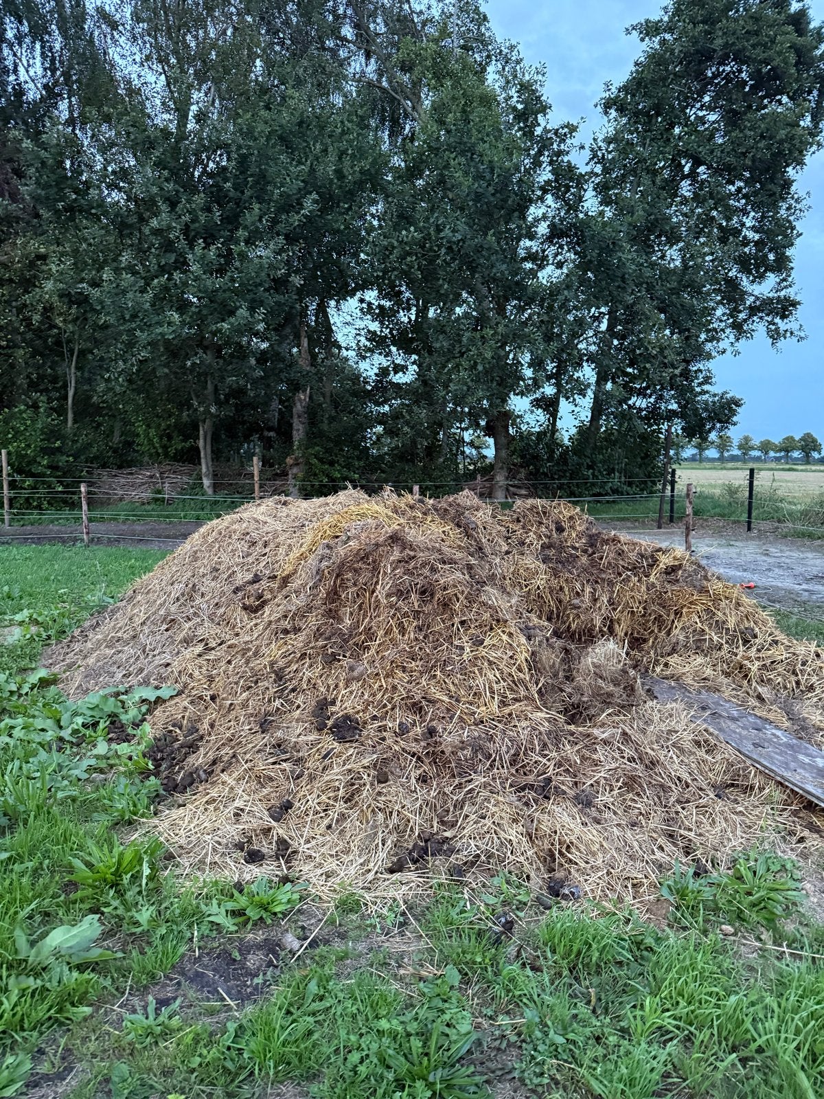 Gratis paardenmest ophalen, Ophalen, Mest