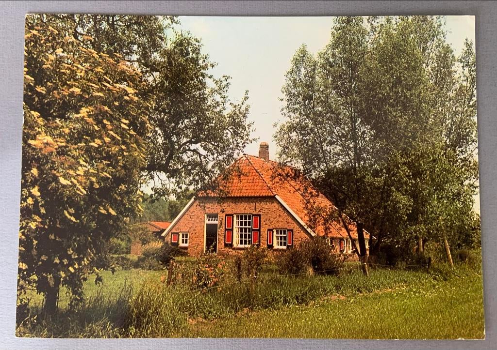 Groeten uit Ruurlo, Verzenden, 1960 tot 1980, Gelopen, Gelderland