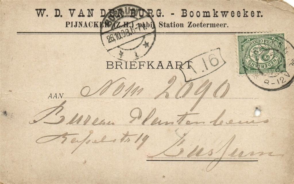 W.D. van der Burg, Boomkweeker, Pijnacker [Z.H.] - 10.1908 -, Ophalen of Verzenden, Briefkaart