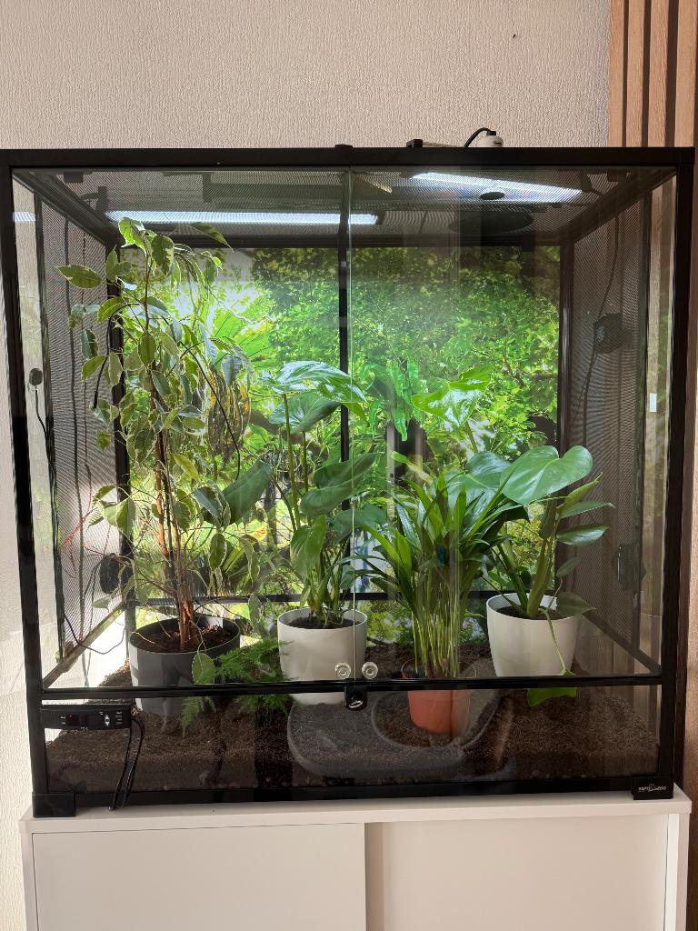 Terrarium, Dieren en Toebehoren, Reptielen en Amfibieën | Toebehoren, Ophalen, Gebruikt, Terrarium of Paludarium