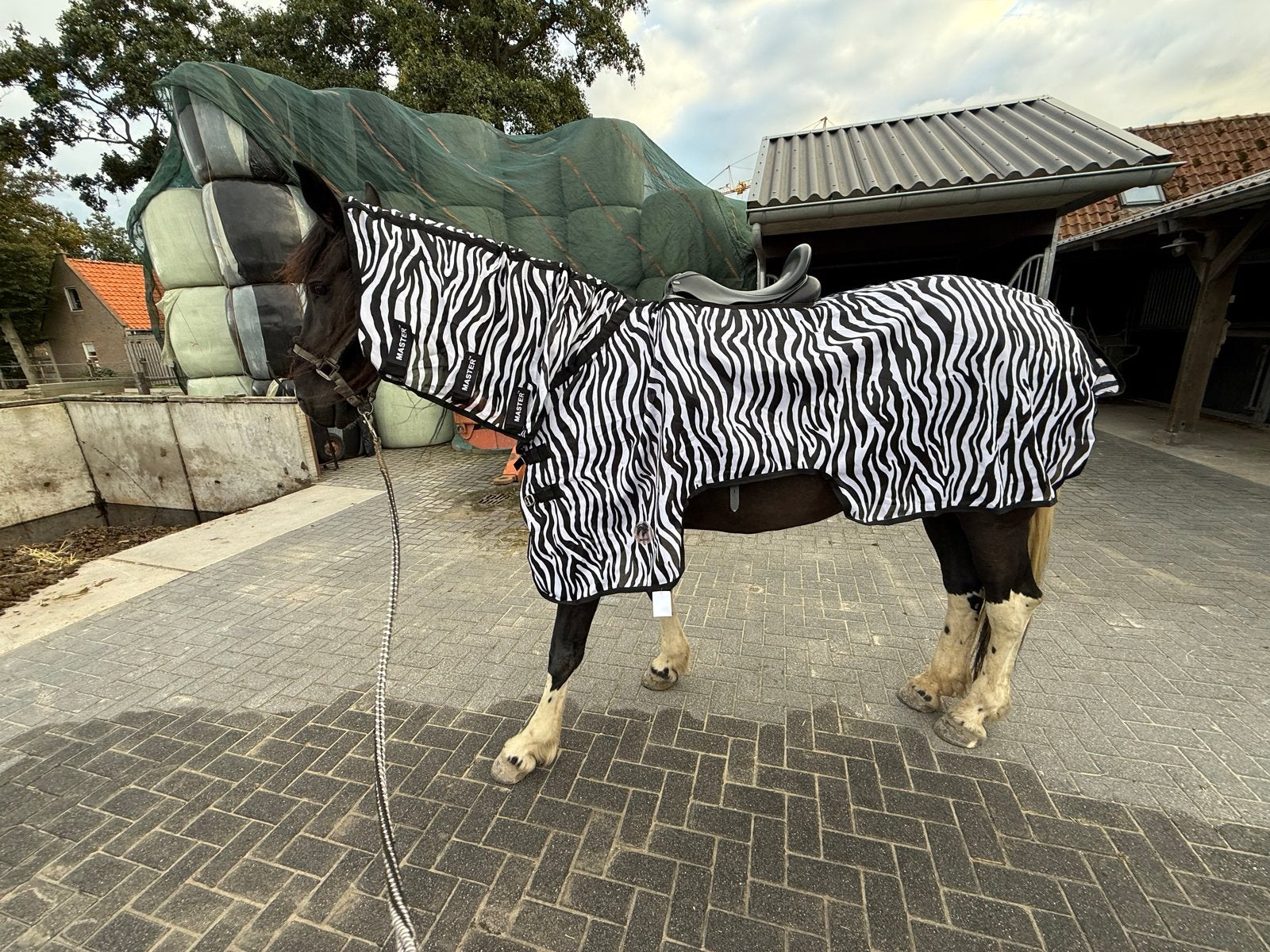 Zebra vliegen uitrijdeken maat 205, Full (L), Overige merken, Vliegendeken, Nieuw