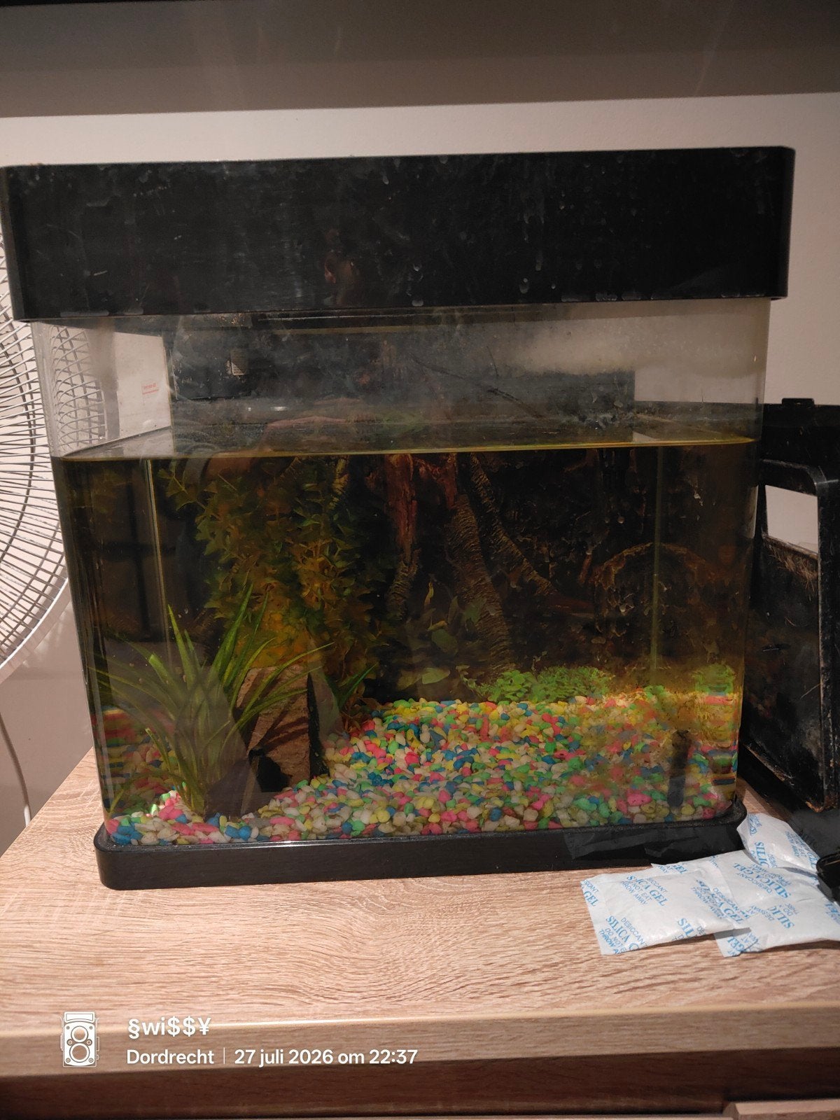 aquarium, Dieren en Toebehoren, Ophalen, Leeg aquarium