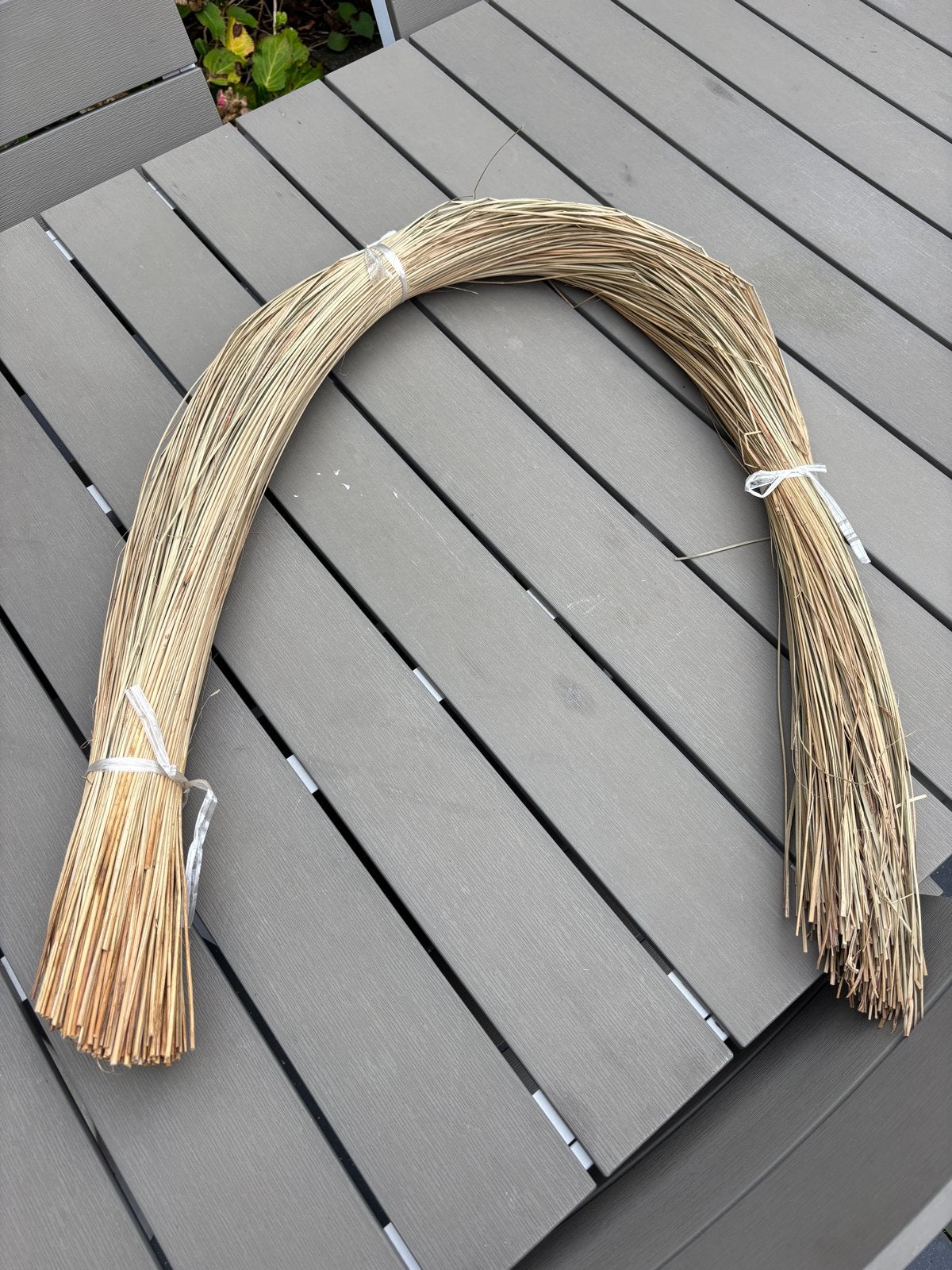 Zeegras voor hobby en decoratie, Ophalen, Natuur en Bloemen, Natuurlijk materiaal, Knutselmateriaal