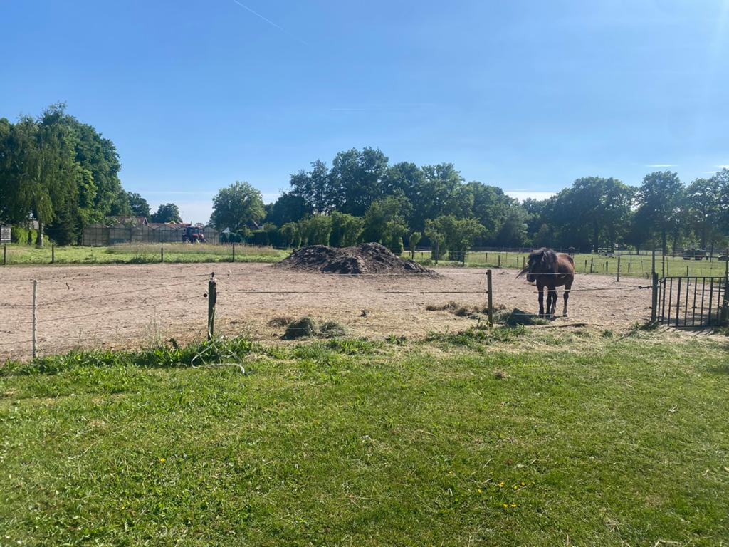 Stalling aangeboden, Dieren en Toebehoren, Stalling en Weidegang, Stalling