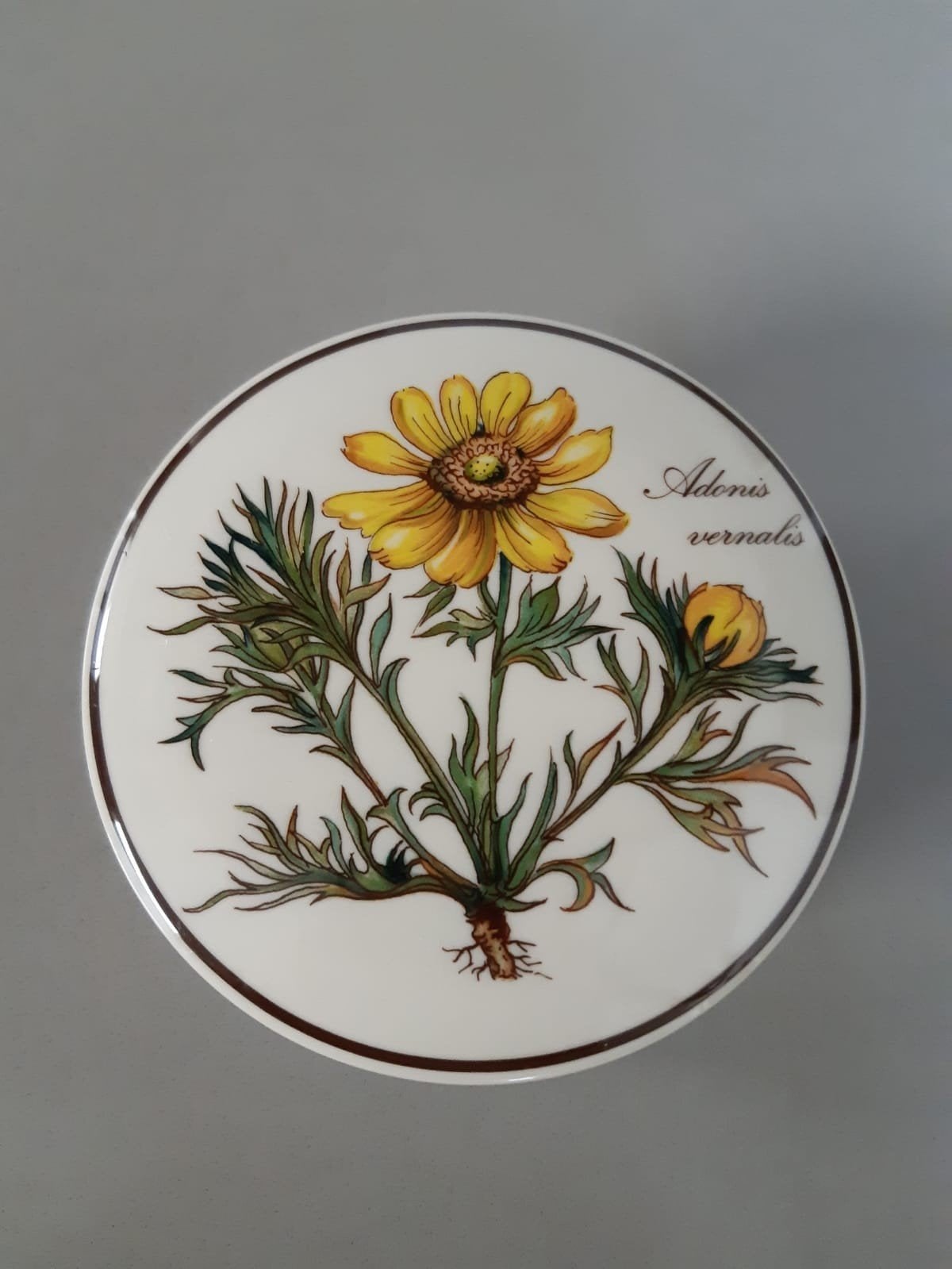 Dekseldoosje Villeroy en Boch Botanica, Ophalen of Verzenden, Overige stijlen, Porselein, Schaal of Schalen