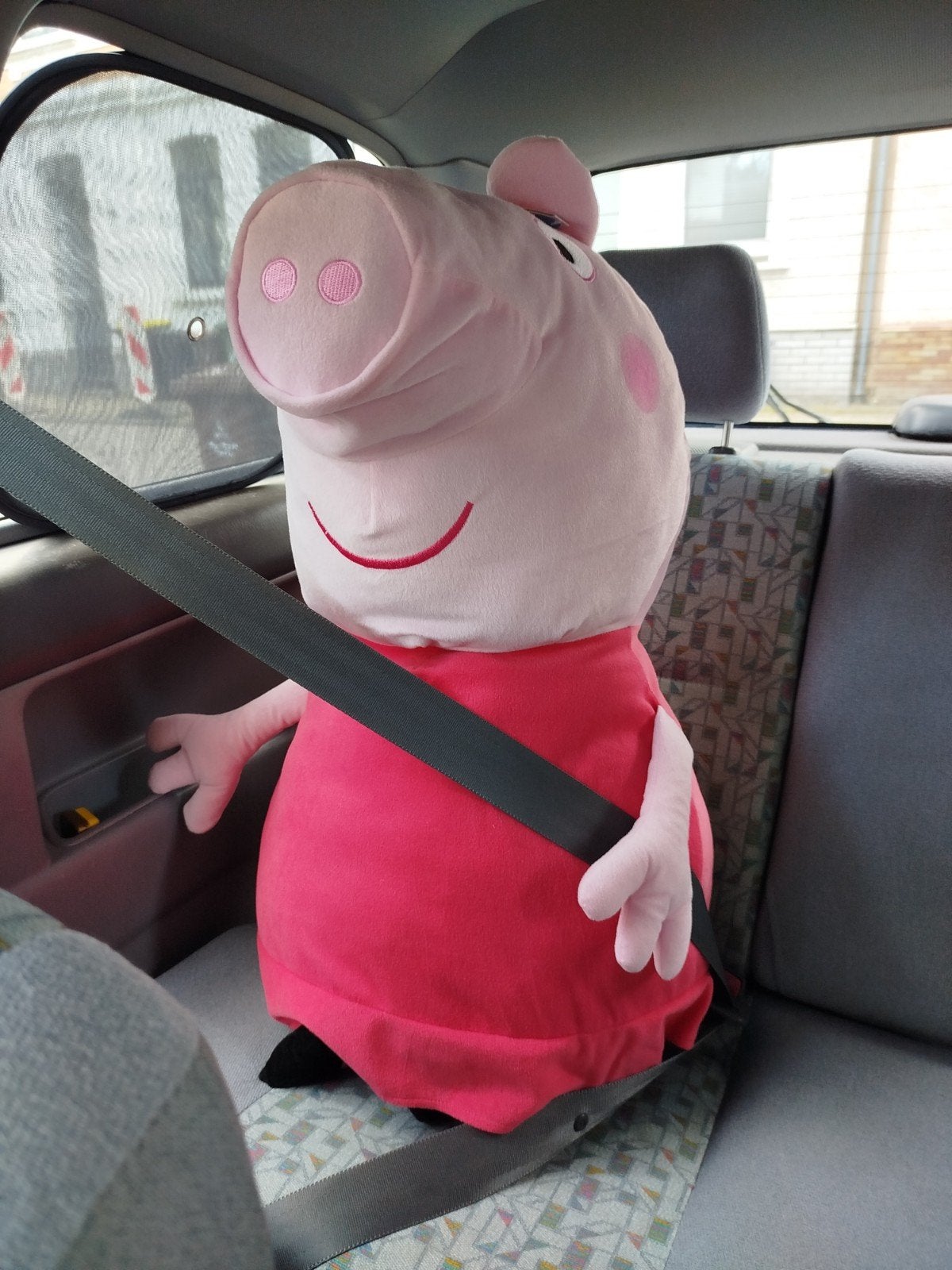 Peppa Pig Passagier, Ophalen of Verzenden, Nieuw