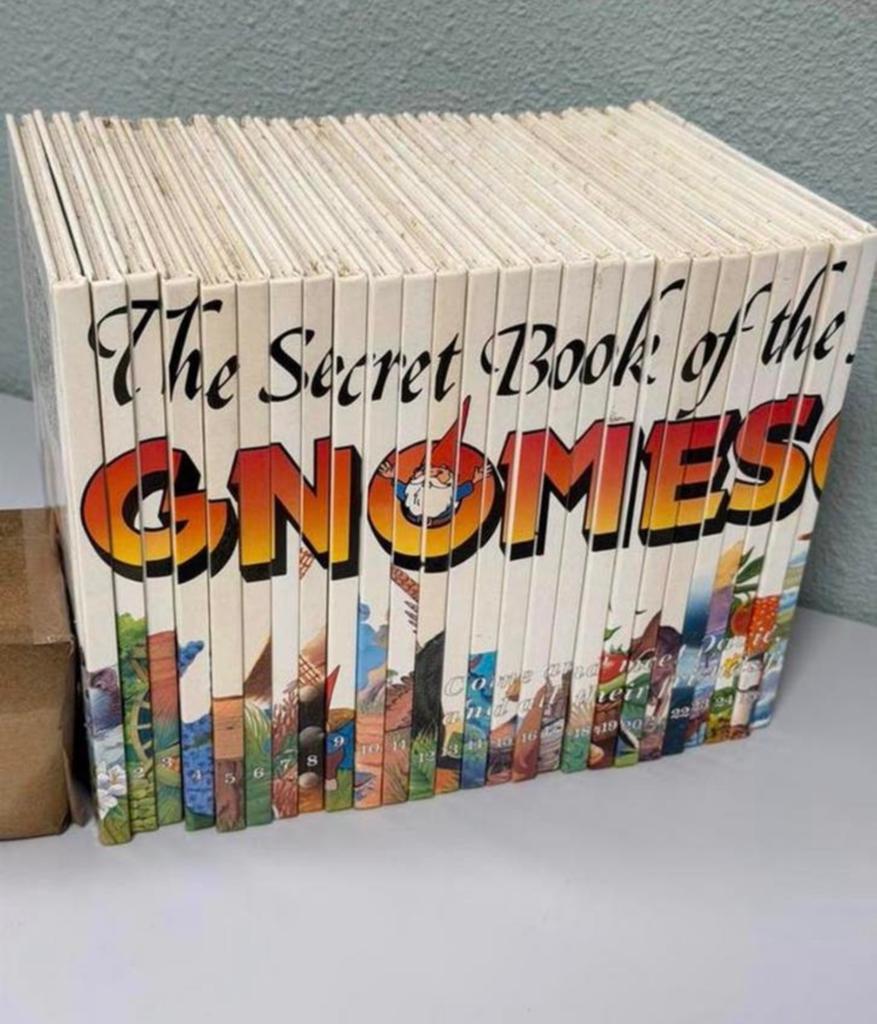 The Secret Book of the GNOMES - Volume 1-26 David kabouter, Boeken, Ophalen of Verzenden, Zo goed als nieuw, Kind en Jeugd