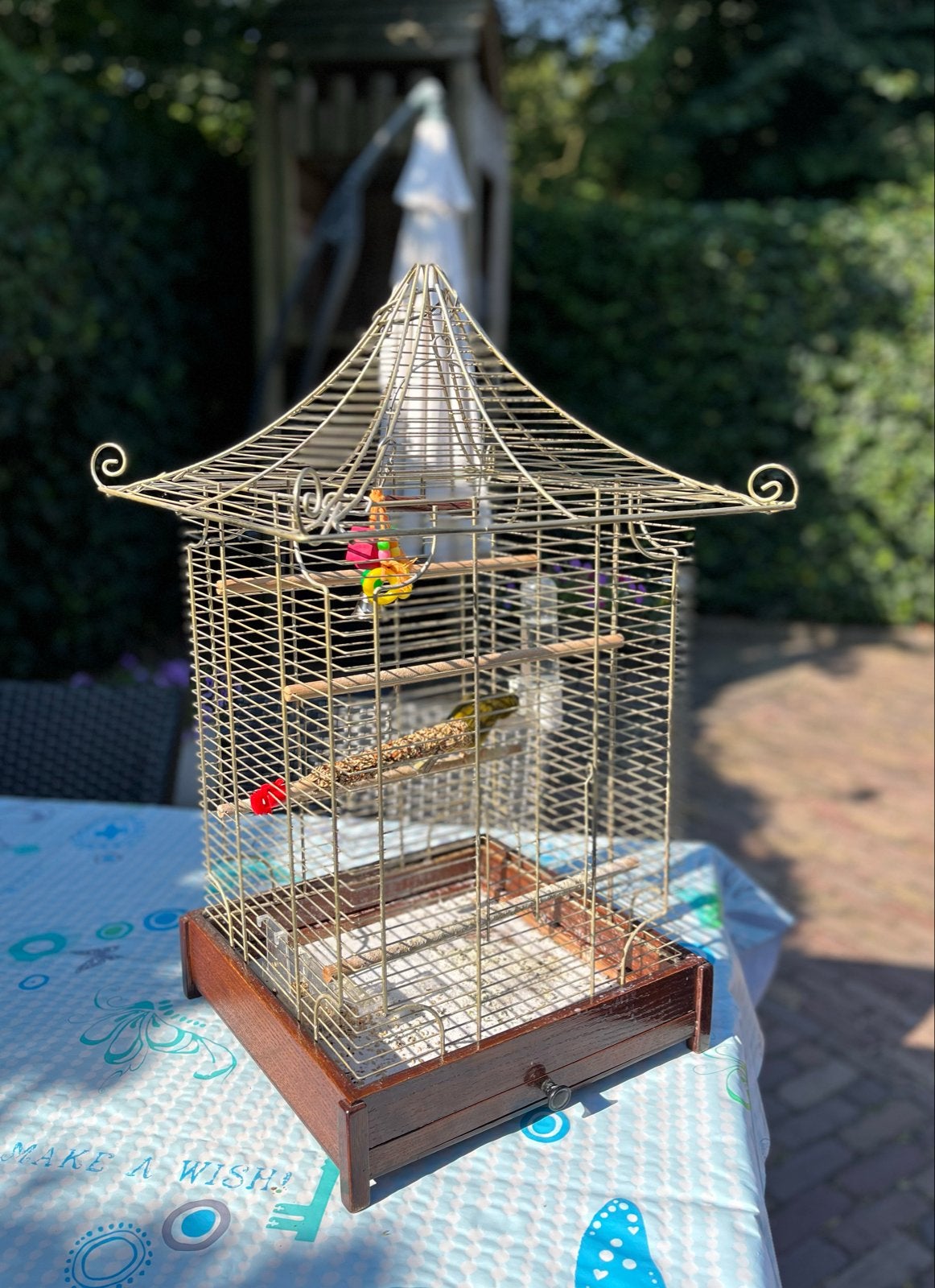 Vogelkooi met kanarie, Dieren en Toebehoren, Ophalen of Verzenden