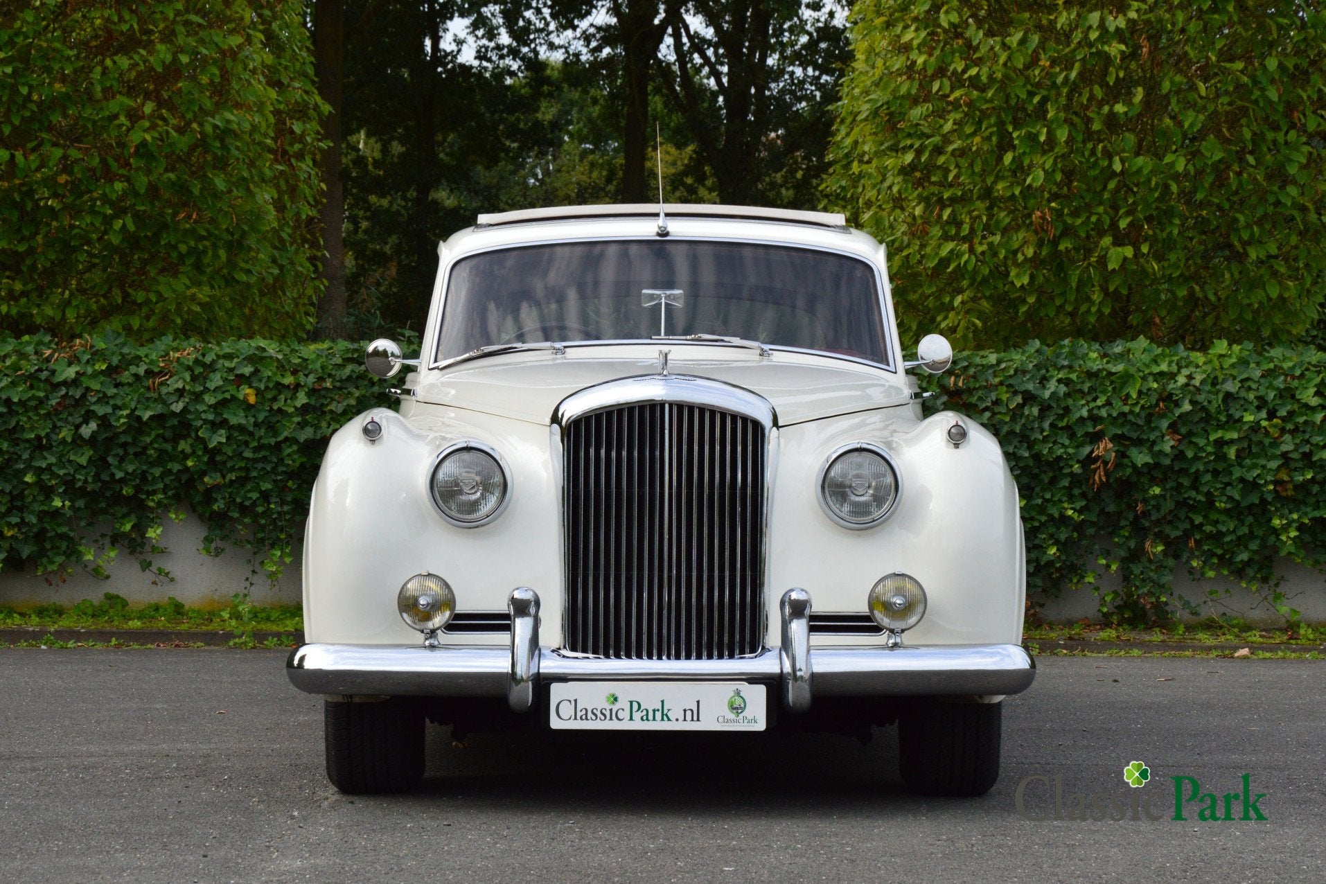 Bentley S1 Standard Saloon (bj 1957, automaat), foto 8