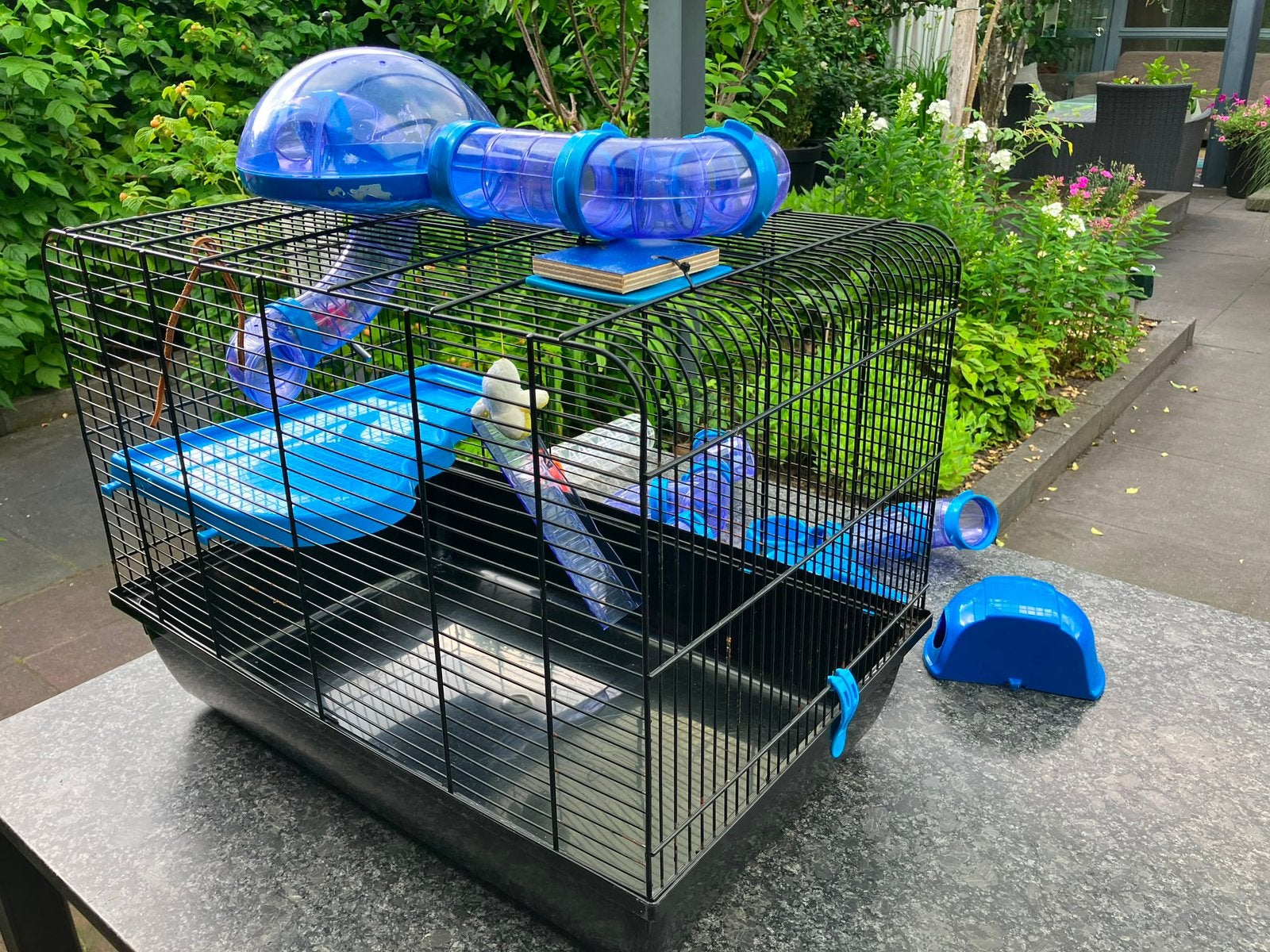 Prima hamsterkooi, Dieren en Toebehoren, Knaagdieren en Konijnen | Hokken en Kooien, Kooi, Gebruikt, Muis, Minder dan 75 cm