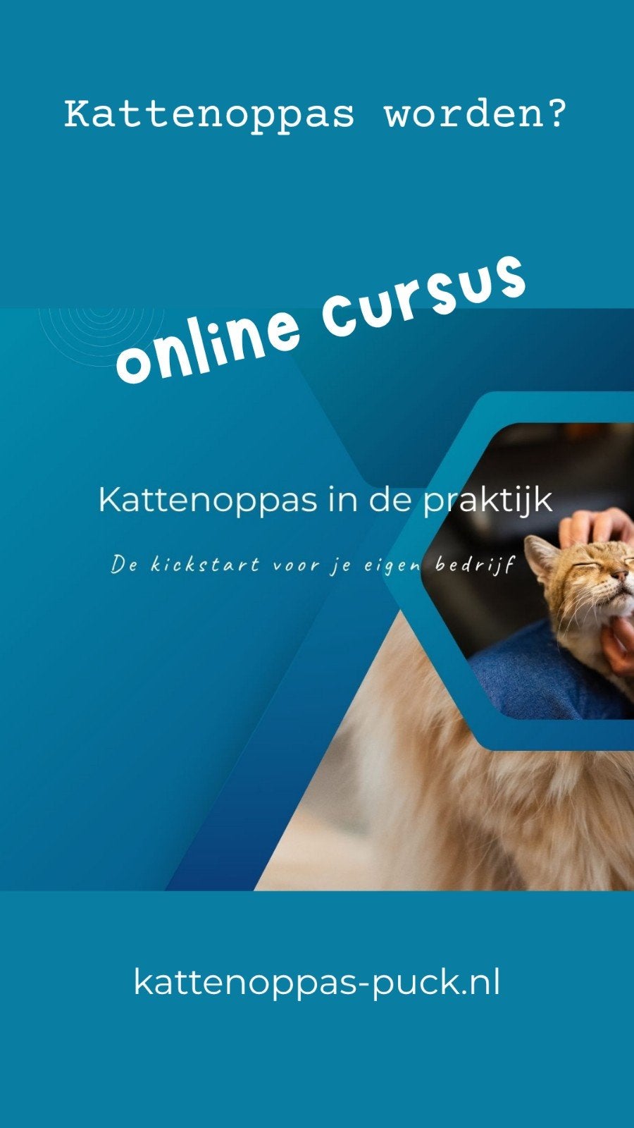 Kattenoppas worden?, Diensten en Vakmensen, Thuisstudie, Werk of Loopbaan