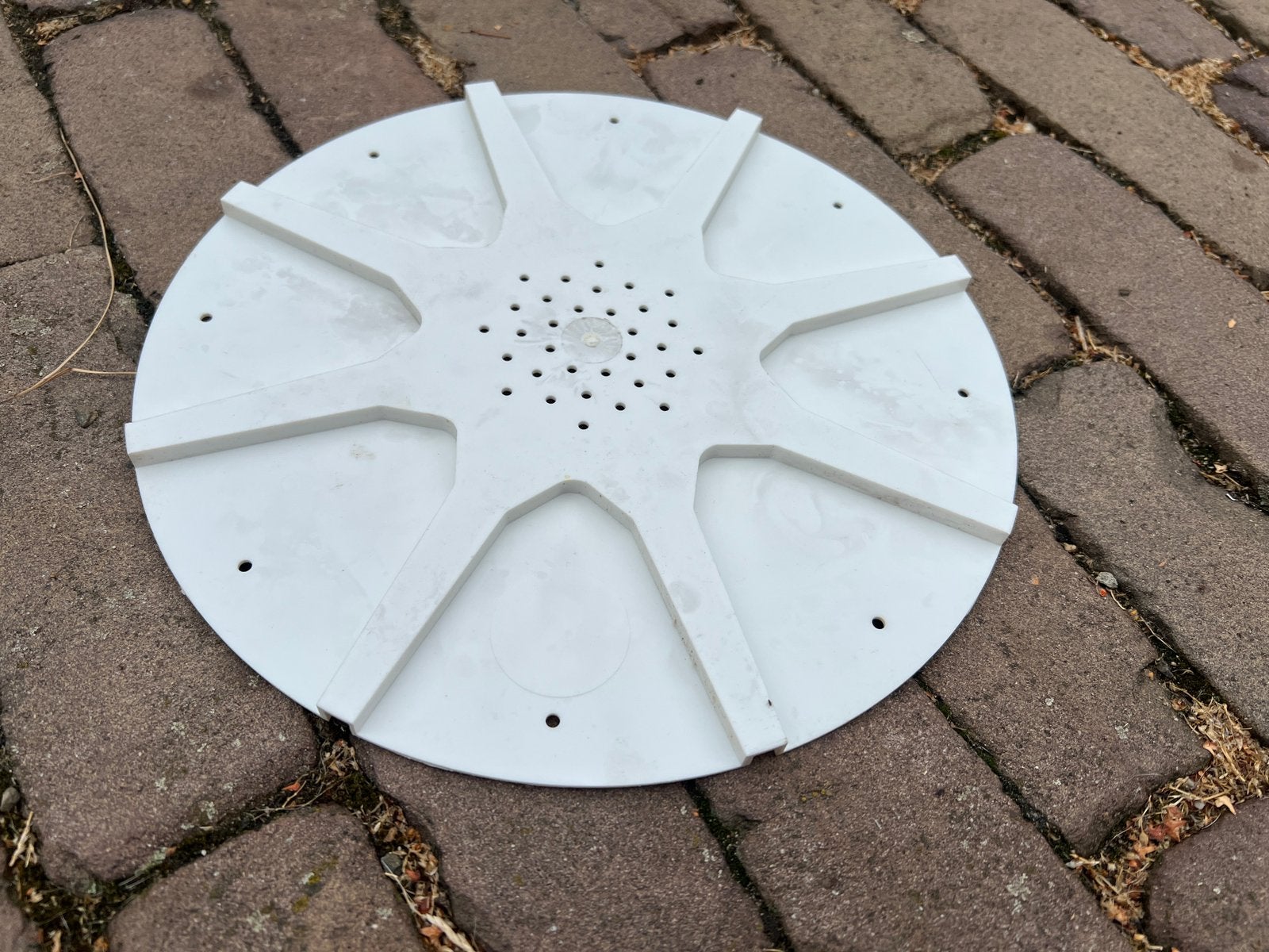 Bijenuitlaten, Dieren en Toebehoren, Bijen