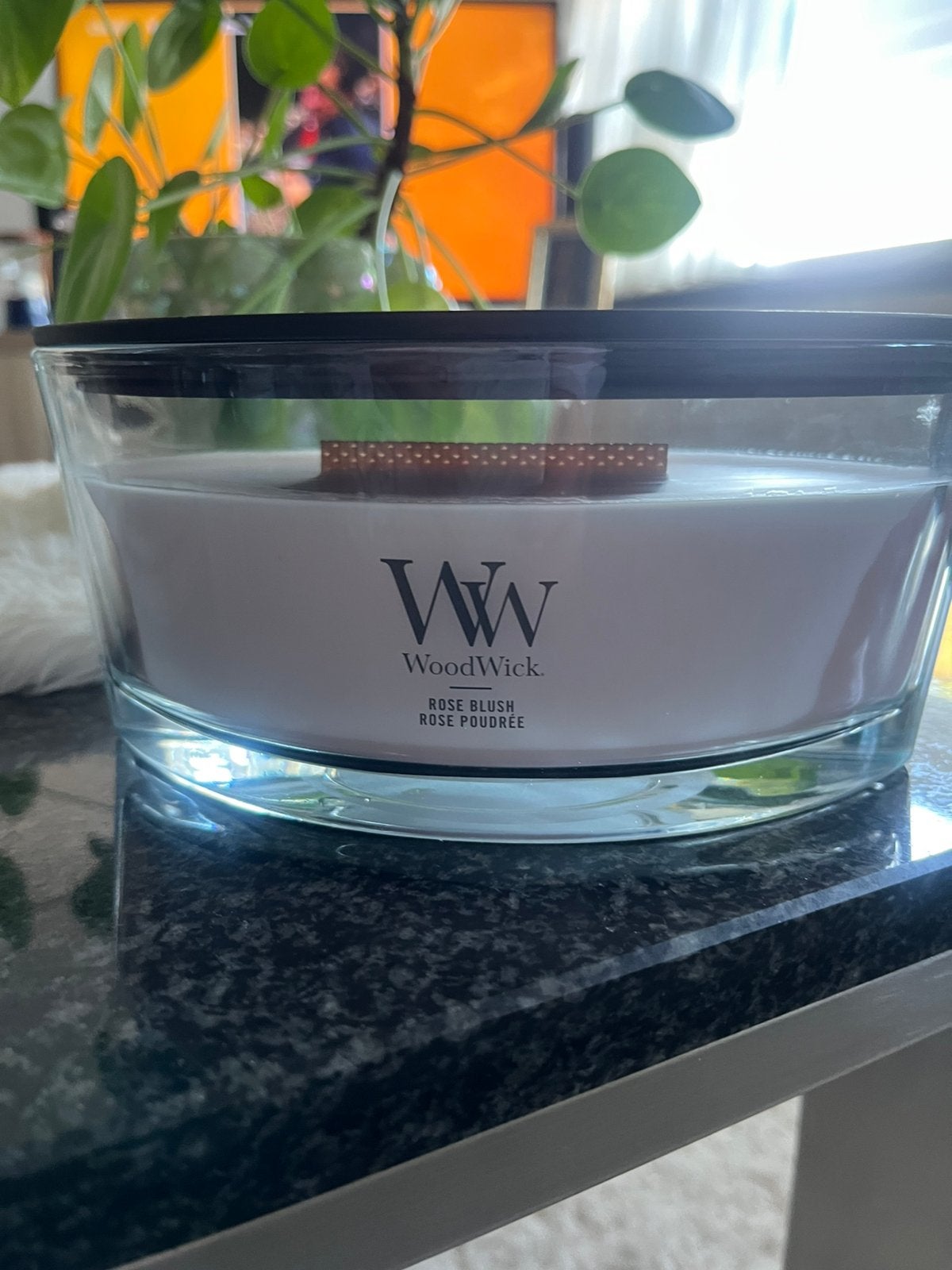 Kaarsen, Woodwick, Nieuw, Ophalen of Verzenden, Glas
