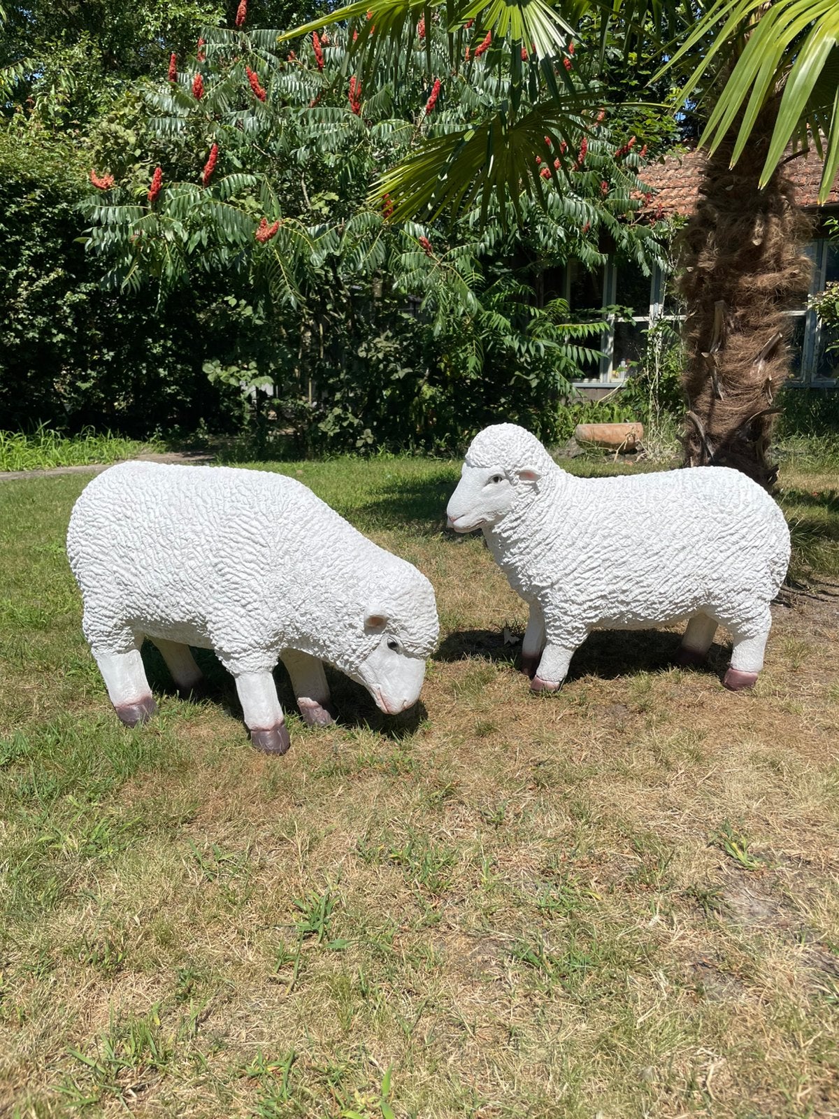 Set schapen wit beeld merino boerderij wol tuin boer wei, Ophalen, Kunststof