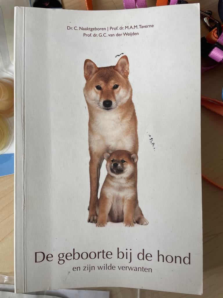 Geboorte, puppy’s, Ophalen