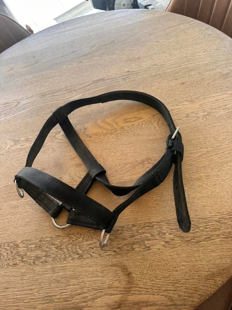 Sterk halster full, Dieren en Toebehoren, Paarden en Pony's | Hoofdstellen en Tuigage, Ophalen of Verzenden, Zo goed als nieuw