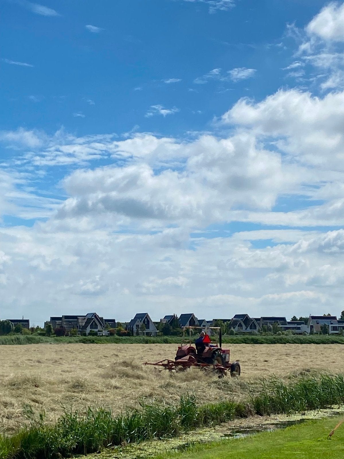 Hooibalen deze donderdag direct van het land!, Dieren en Toebehoren, Dierenvoeding, Ophalen, Vee