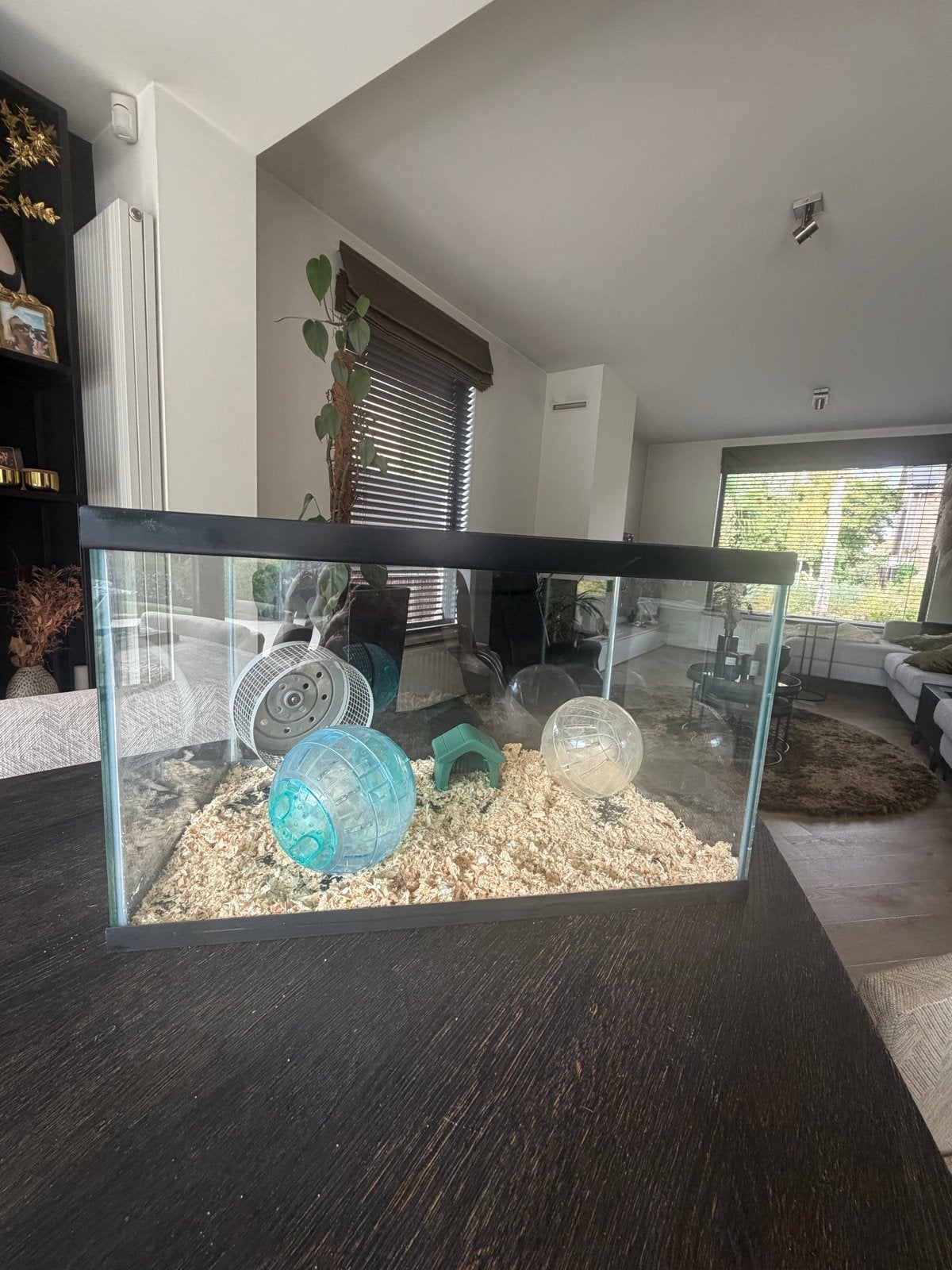 Hamster verblijf glas 50x30x30, Dieren en Toebehoren, Ophalen