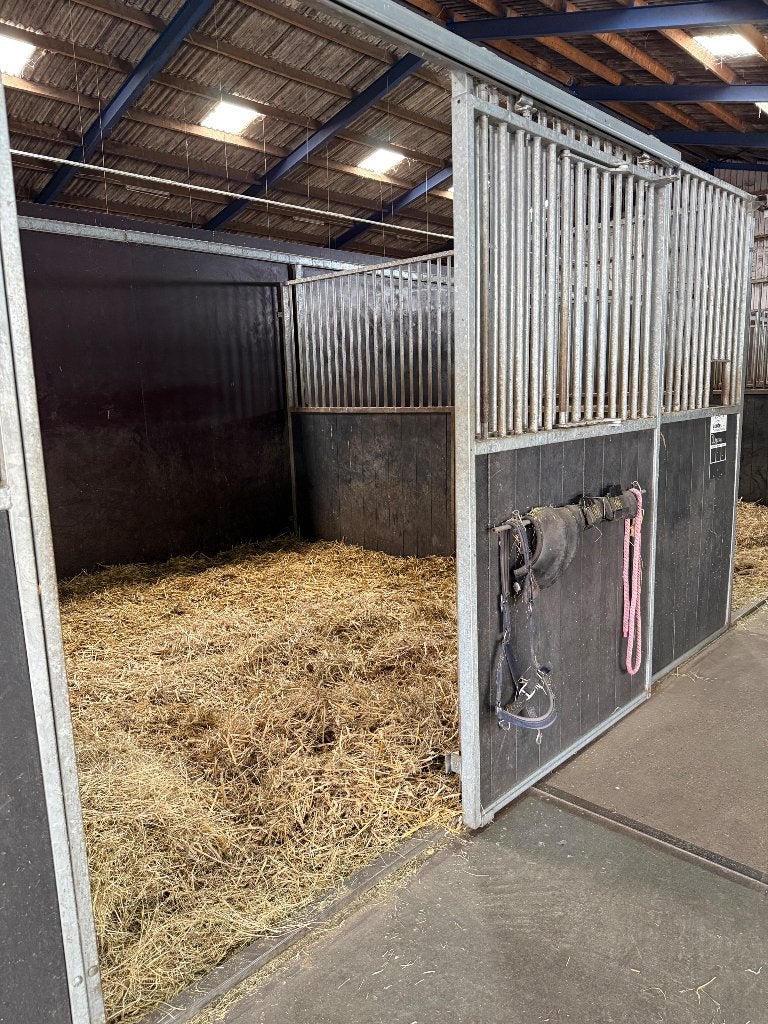 Volpension beschikbaar, Stalling, 2 of 3 paarden of pony's
