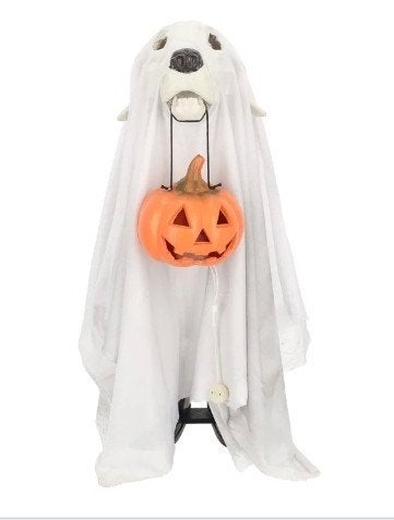 skelet hond trick 'R treater met pompoen met licht, Ophalen of Verzenden, Nieuw, Versiering, Halloween of Griezel