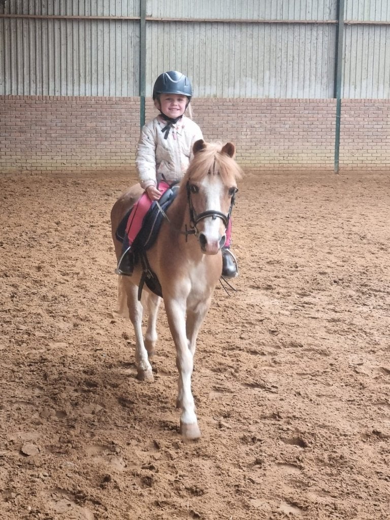 Fijne leer/bixie pony, B, Ruin, B pony (1.17m tot 1.27m), 11 jaar of ouder
