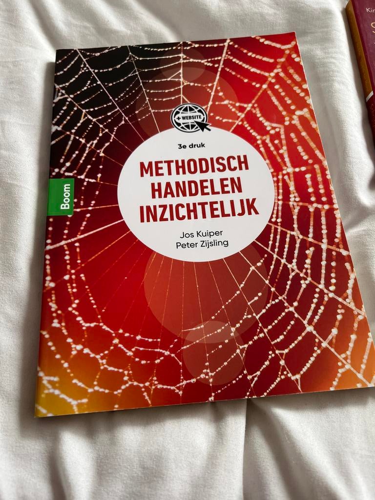 Methodisch Handelen Inzichtelijk - HBO Social Work, Boeken, Studieboeken en Cursussen, Ophalen, Gamma, Zo goed als nieuw, HBO