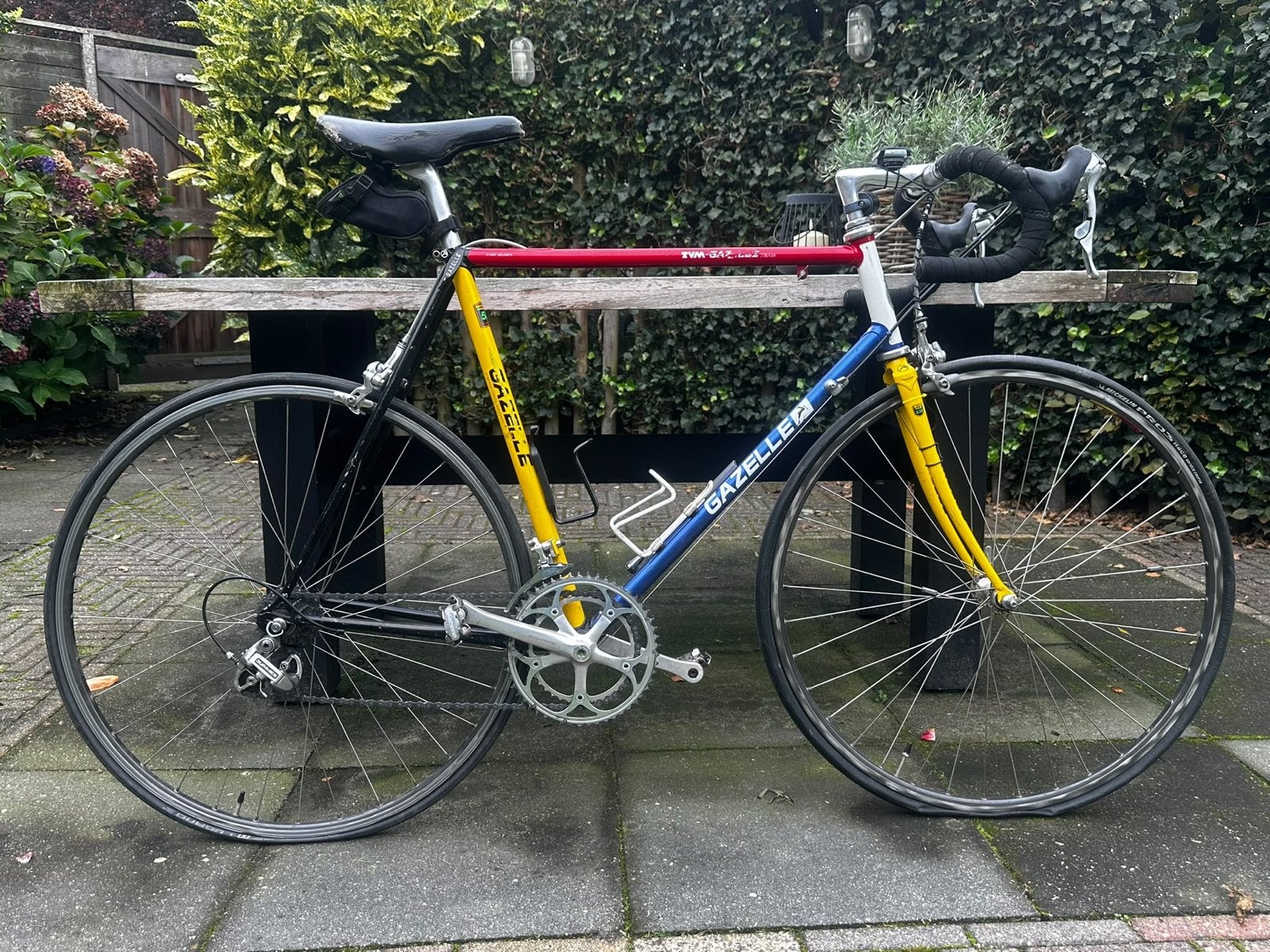 Originele Danny Nelissen Gazelle TVM Team racefiets, Fietsen en Brommers, Ophalen, 28 inch, Gebruikt, Gazelle