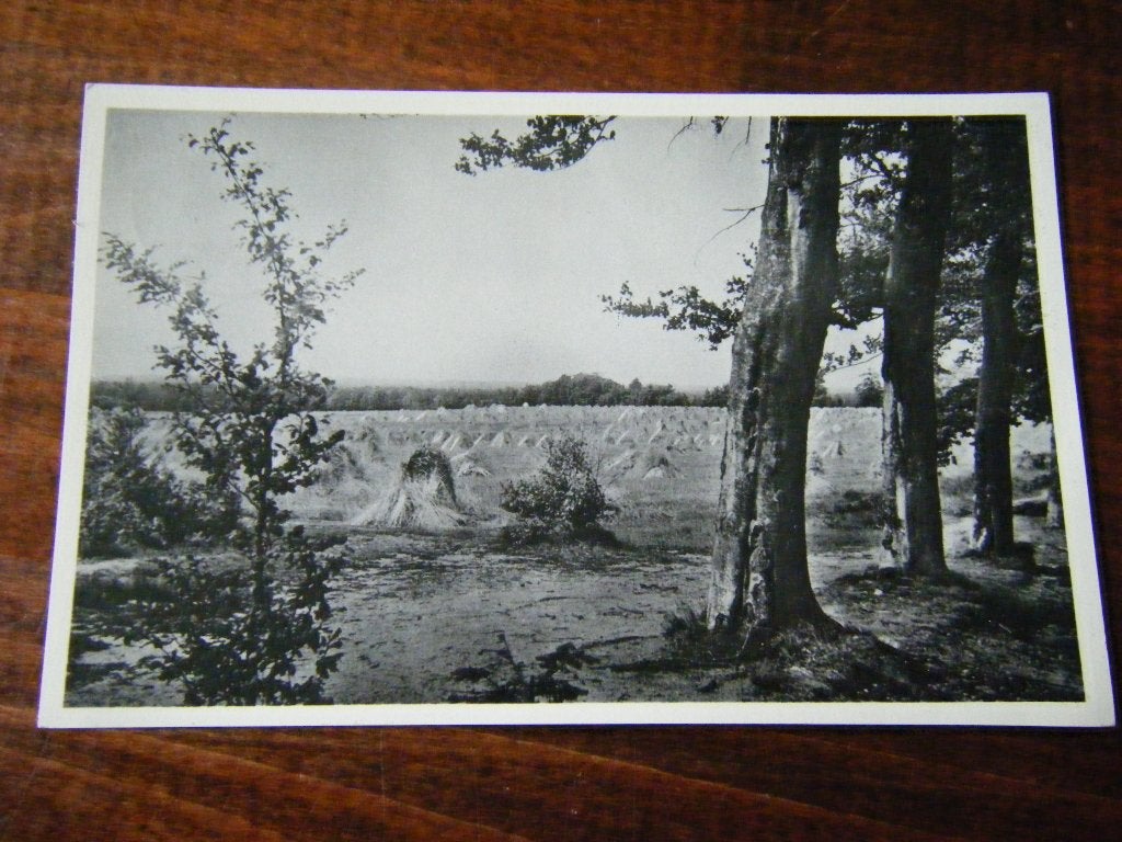 P38 - Maarn - Korenschoven - Mooi/ Oud, Ophalen of Verzenden, 1960 tot 1980, Utrecht