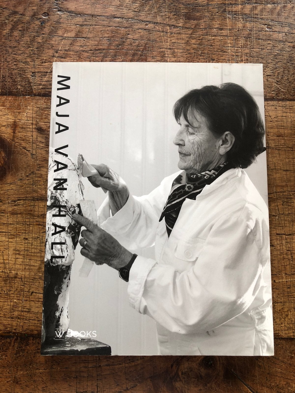 Maja van Hall - Monografie Sculptuur Instituut, Ophalen of Verzenden, Zo goed als nieuw, Beeldhouwkunst