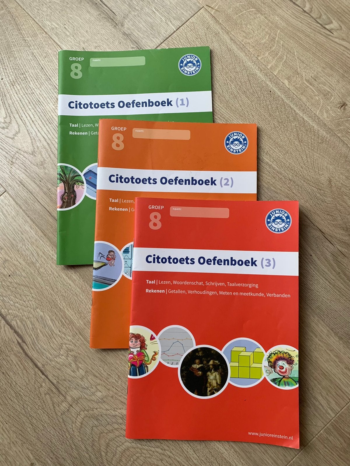 Citotoets groep 8 rekenen begrijpend lezen spelling breuk, Ophalen, Zo goed als nieuw, Overige niveaus, Nederlands