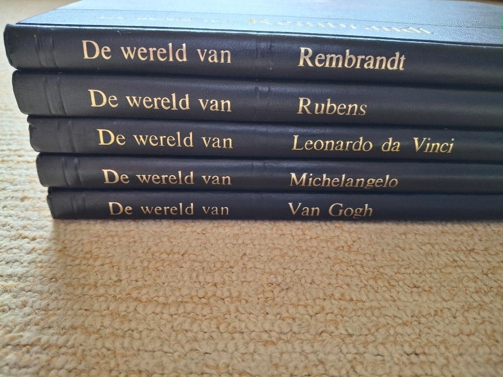 Rembrandt, Rubens, van Gogh, Michelangelo, da Vinci., Ophalen of Verzenden, Gelezen, Schilder- en Tekenkunst
