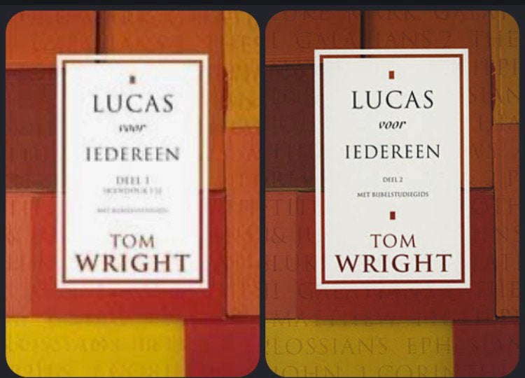 Lucas voor iedereen - Tom Wright, Ophalen of Verzenden, Zo goed als nieuw, Christendom | Protestants