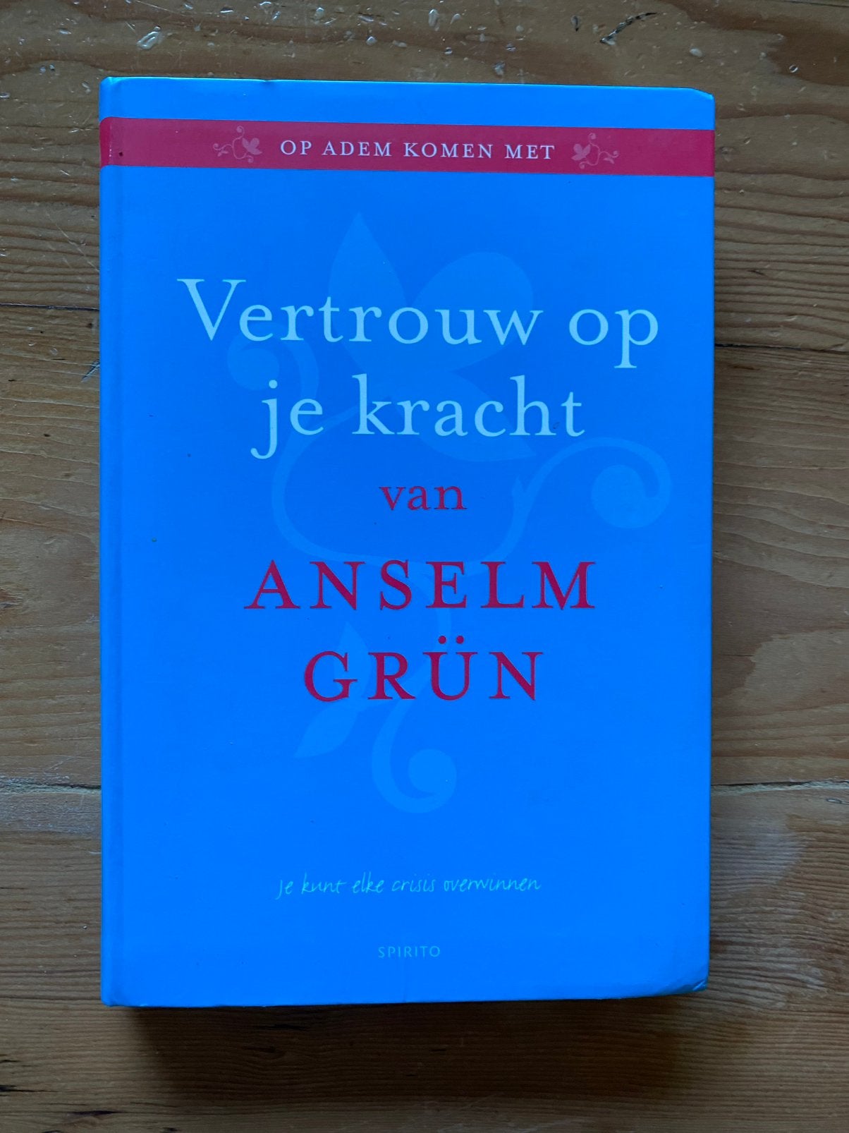 Vertrouw op je kracht - Anselm Grün, Ophalen of Verzenden, Gelezen, Overige onderwerpen, Instructieboek