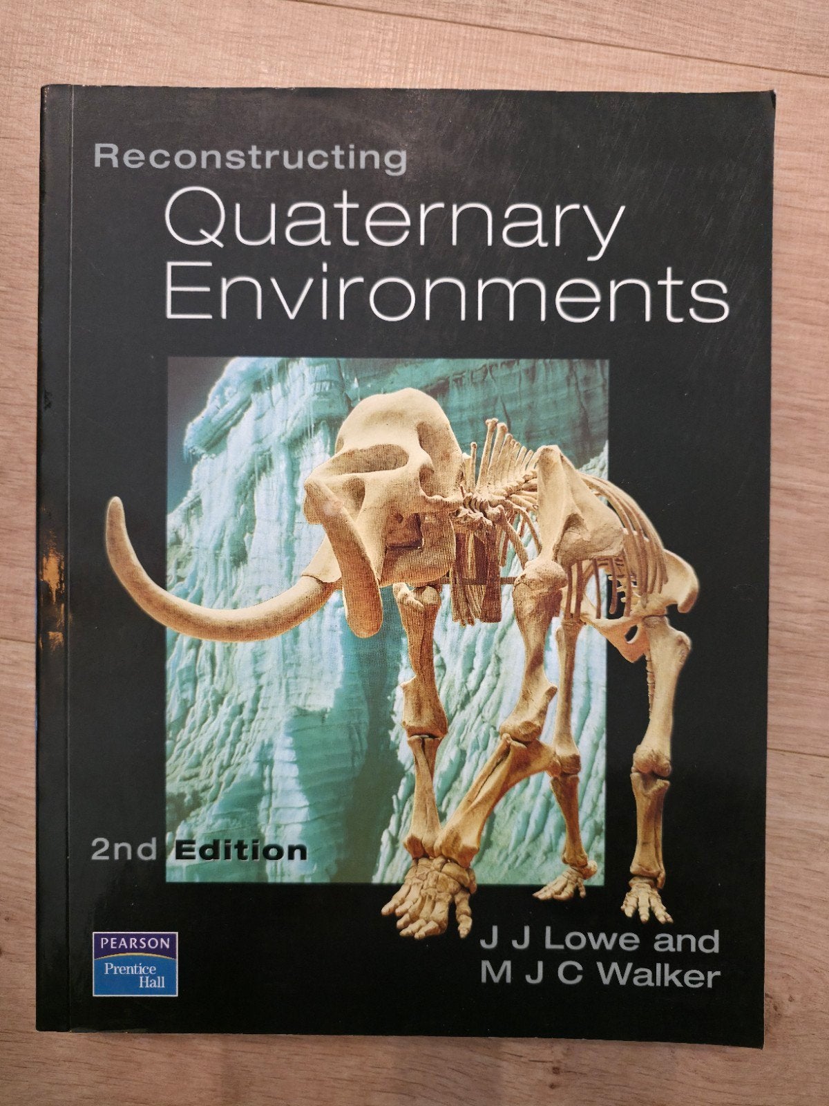 Reconstructing Quarternary Environments, Ophalen of Verzenden, Beta, Gelezen, WO