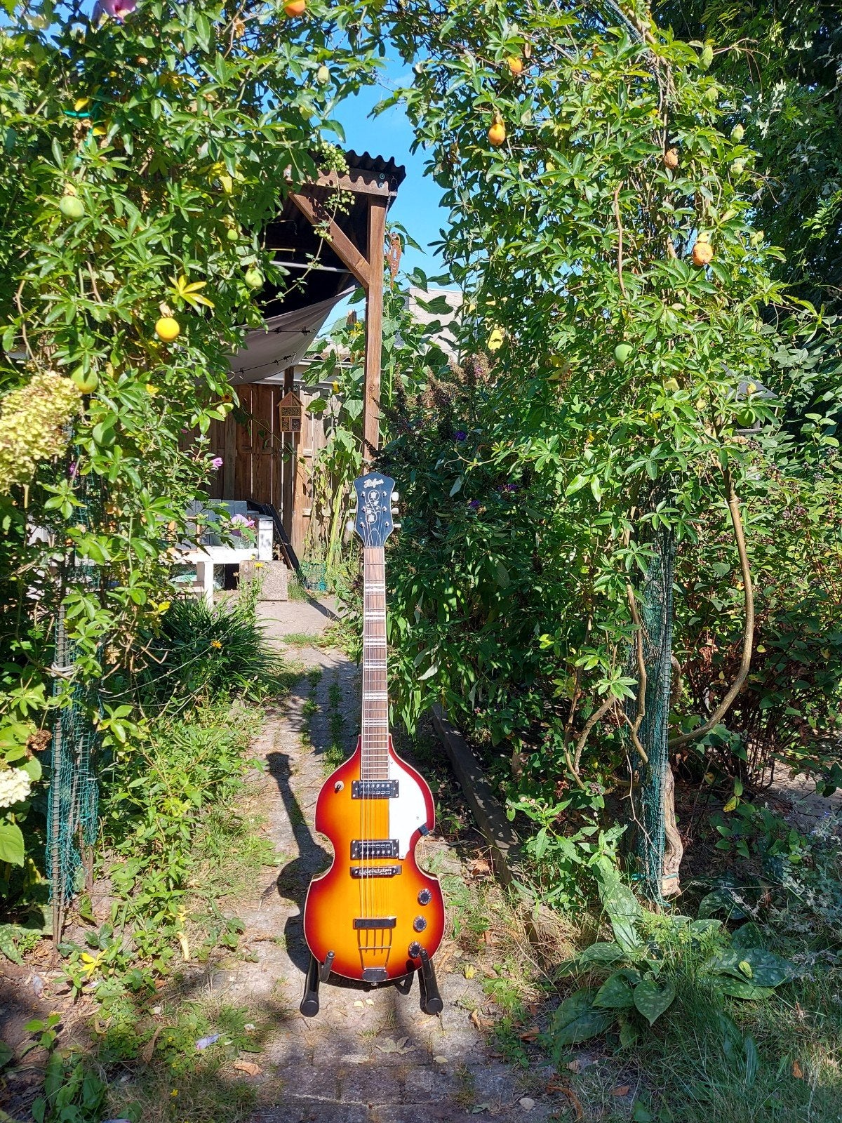 Hofner HI-BB, Ophalen, Zo goed als nieuw, Semi-akoestisch, 6-snarig