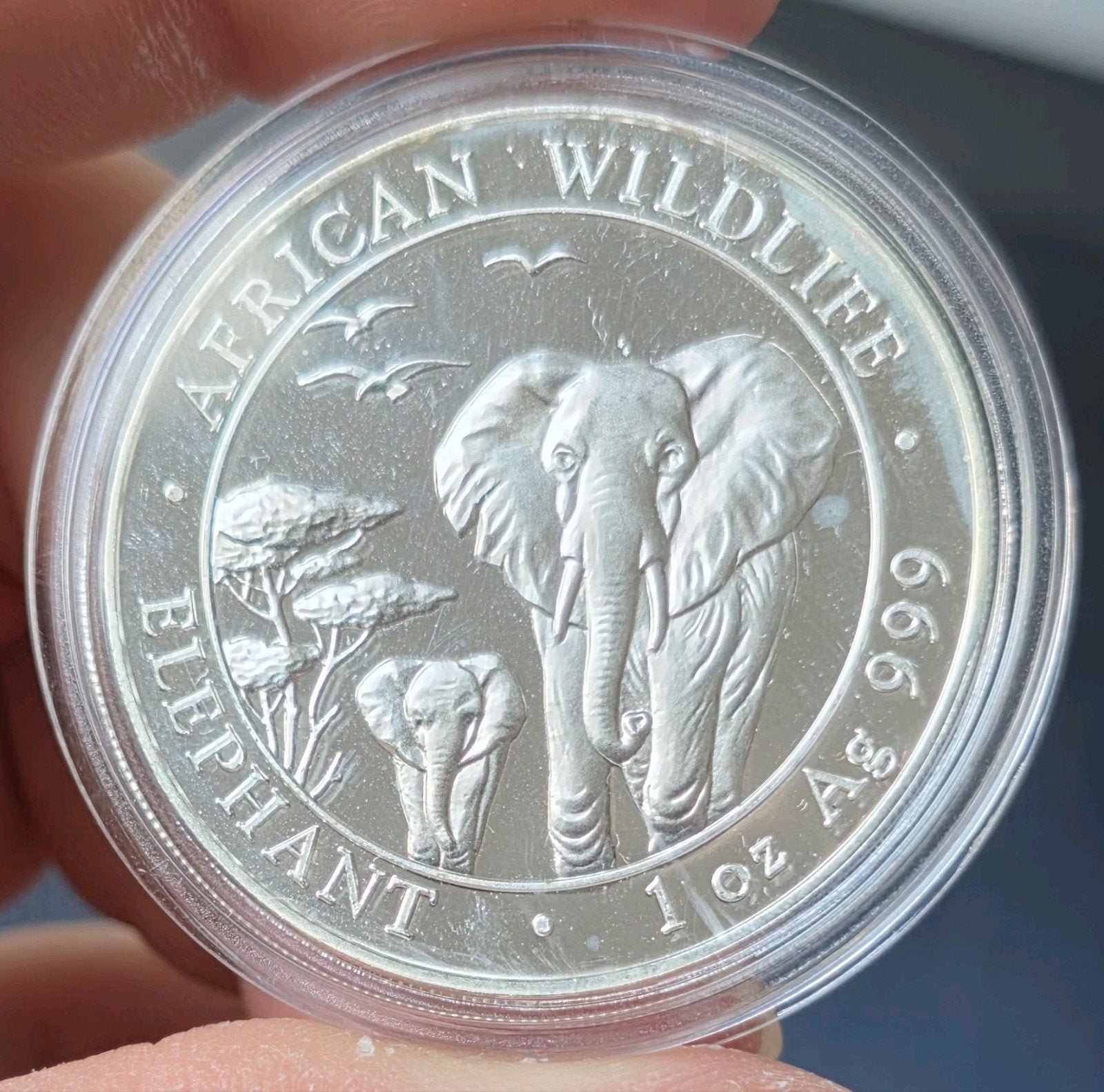 1oz somalische olifant 2015, Postzegels en Munten, Verzenden, Zilver