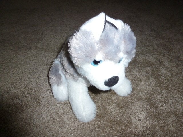 NIEUW 1 super mooie zachte grijze/ witte knuffel hond 27 cm, Ophalen of Verzenden, Nieuw, Hond