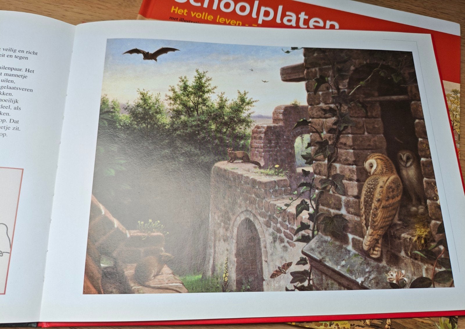 2 prachtige schoolplaat boeken, zo goed als nieuw, Antiek en Kunst, Ophalen of Verzenden