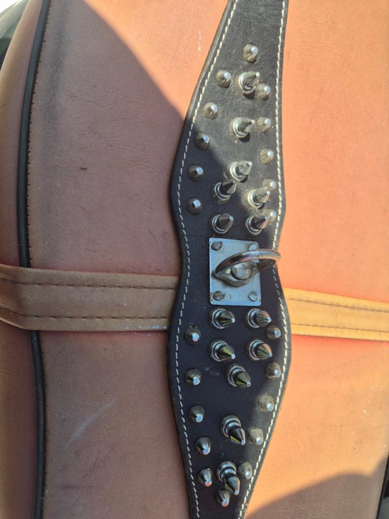 Leren spikes hondenriem, Ophalen of Verzenden