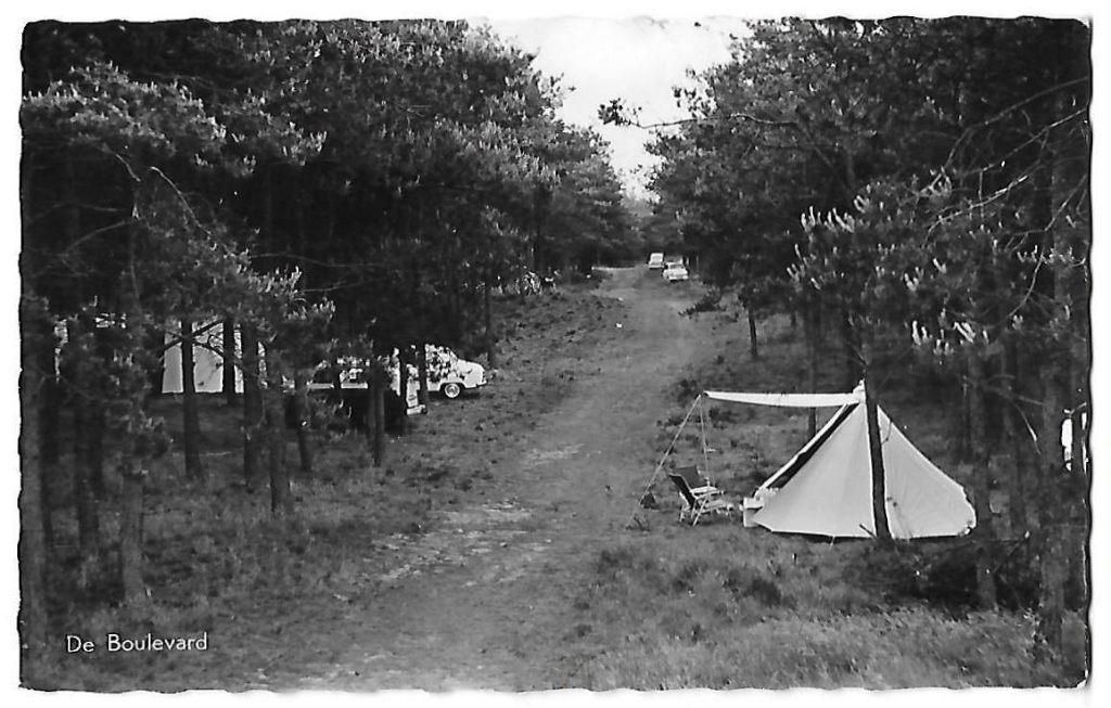 Luyksgestel De Boulevard Oude ongelopen Ansichtkaart ( 8731, Ophalen of Verzenden, 1960 tot 1980, Ongelopen, Zuid-Holland