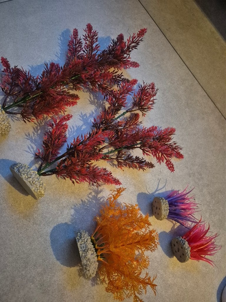 Aquariumdecoraties, Ophalen, Nieuw, Plant(en), Steen of Hout, Overige merken