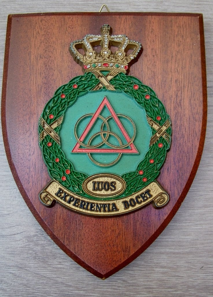 Wapenschild Luchtmacht Officiersschool (LUOS), Verzenden, Luchtmacht, Nederland, Embleem of Badge