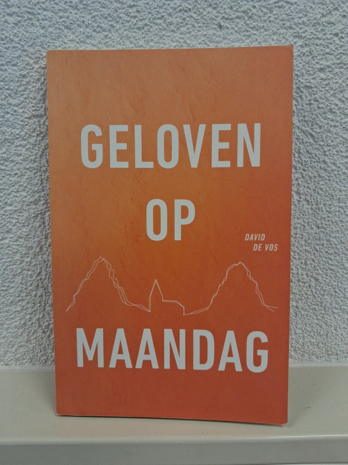 David De Vos - Geloven op maandag, Ophalen of Verzenden, Zo goed als nieuw, David De Vos