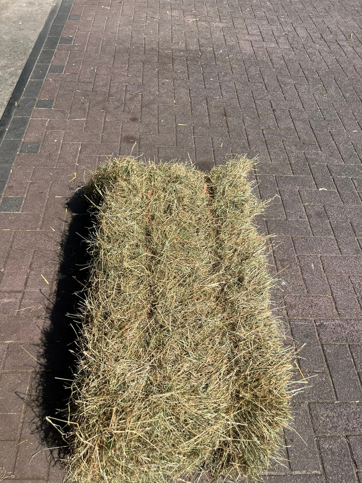 Hooibalen, Dieren en Toebehoren, Dierenvoeding, Ophalen of Verzenden, Vee